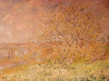 Claude Oscar Monet : Spring